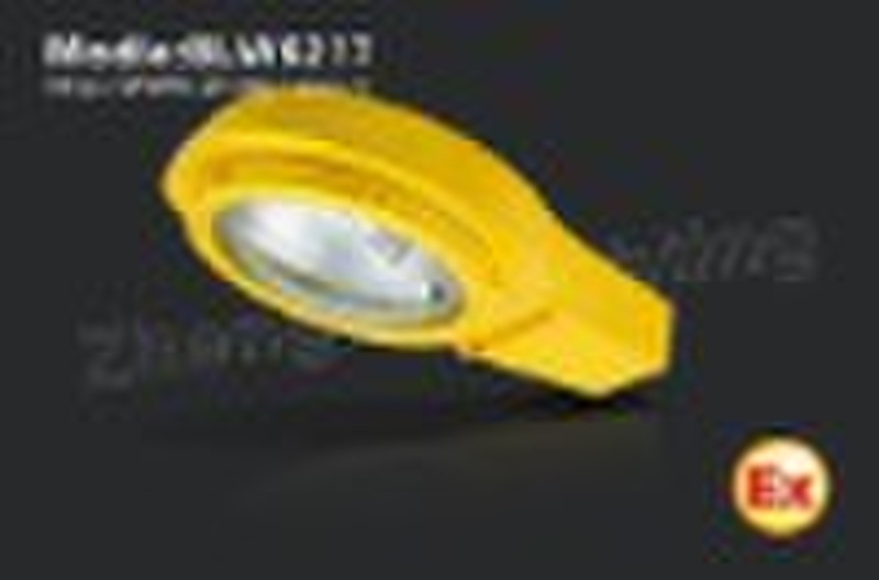 explosion proof street lighting