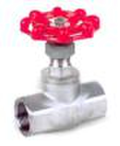 Female Threaded Stainless Steel Globe Valve