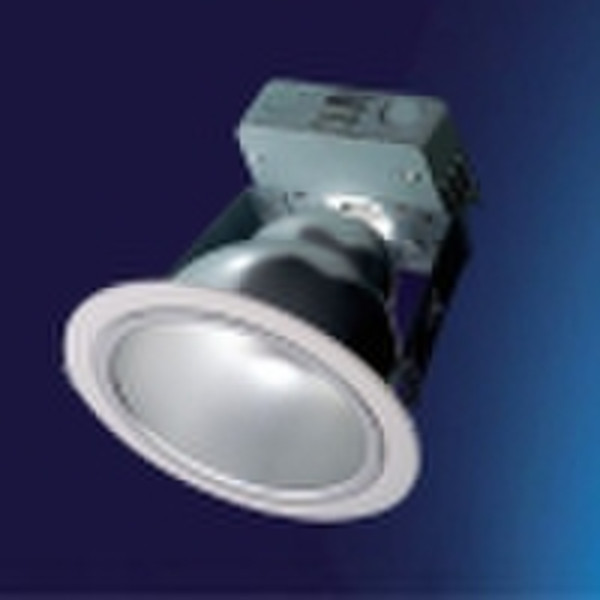 2010 Vertical Down Light