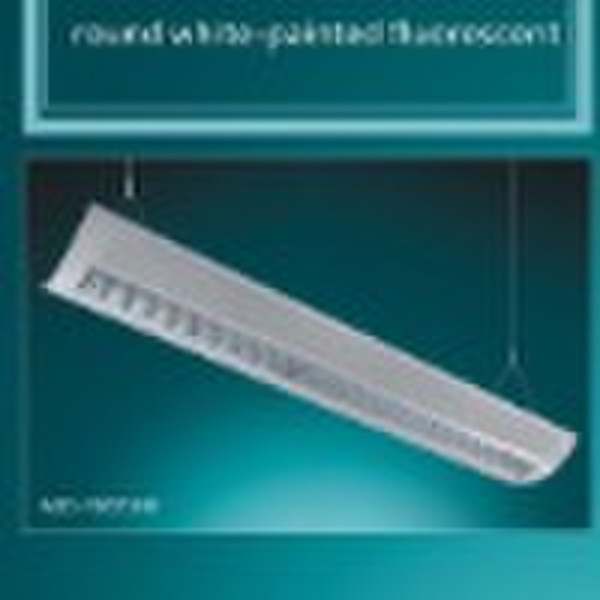 2010 Fluorescent Lighting fixture