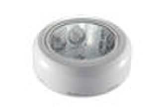 2010 Surface Mounted Ceiling Light