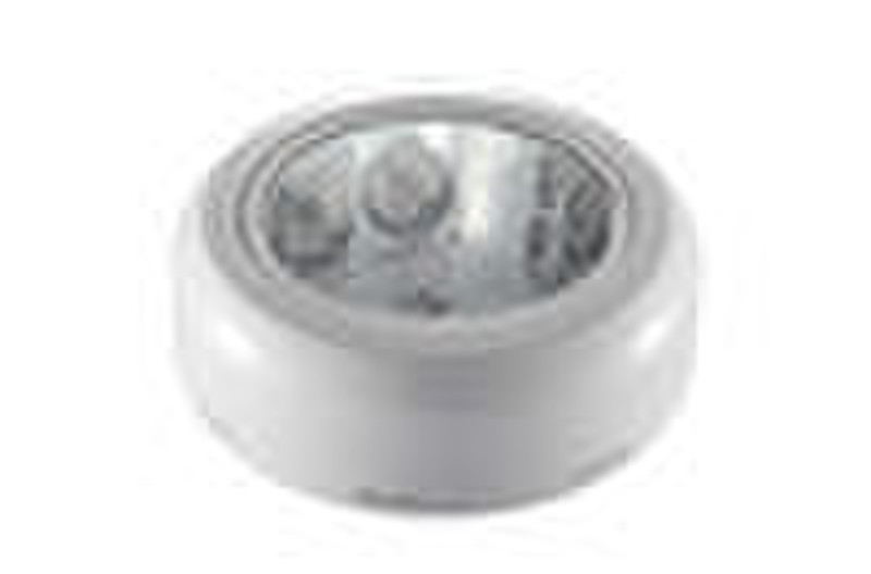 2010 Surface Mounted Ceiling Light