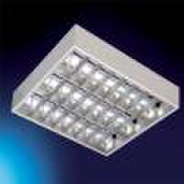 2010 Fluorescent Grid  Light