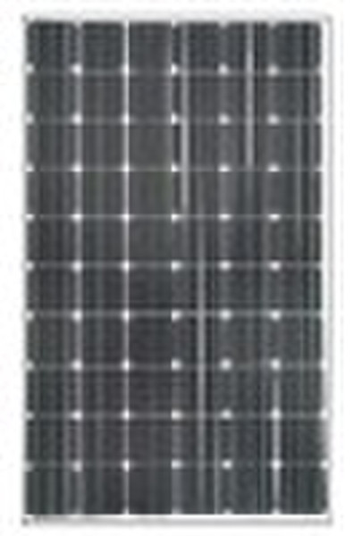 Mono-crystalline PV Modules