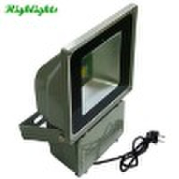 80W High Power LED Floodlight