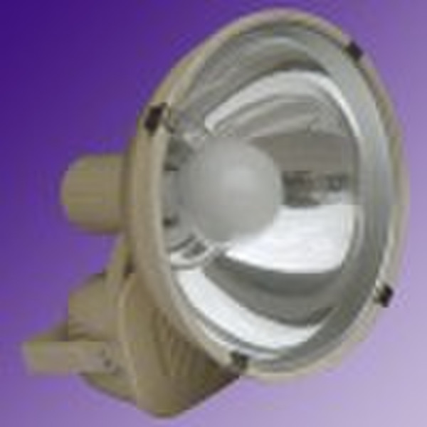 electrodeless outdoor spot light