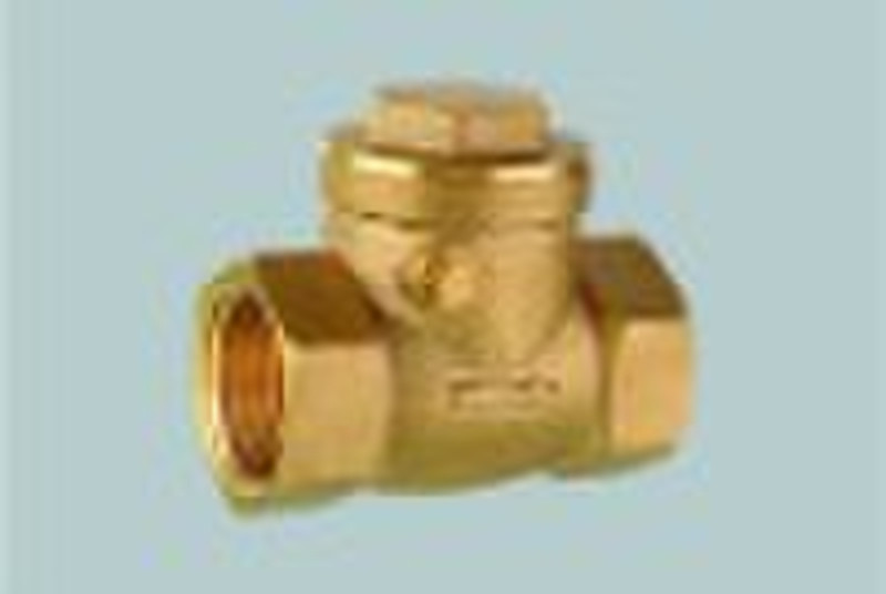 brass check  valve