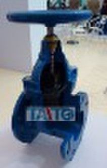 Ductile iron gate valve