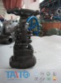 Forged Steel Globe Valve