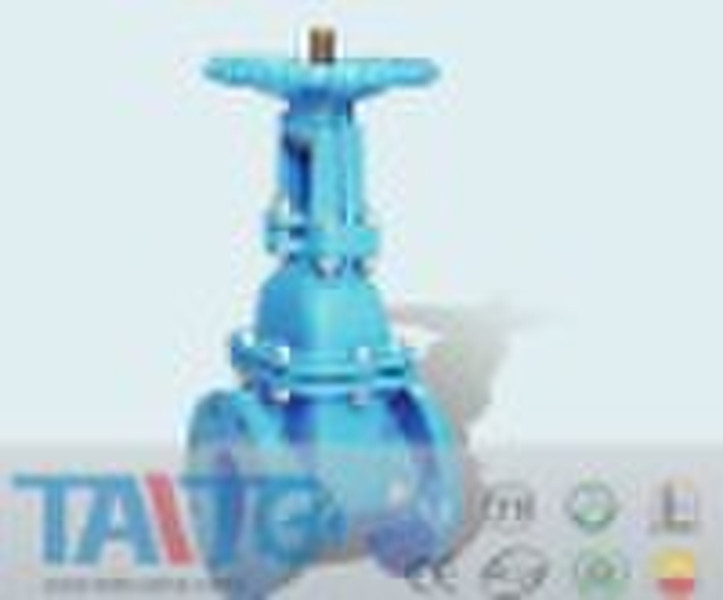 RS Cast Iron Gate Valve