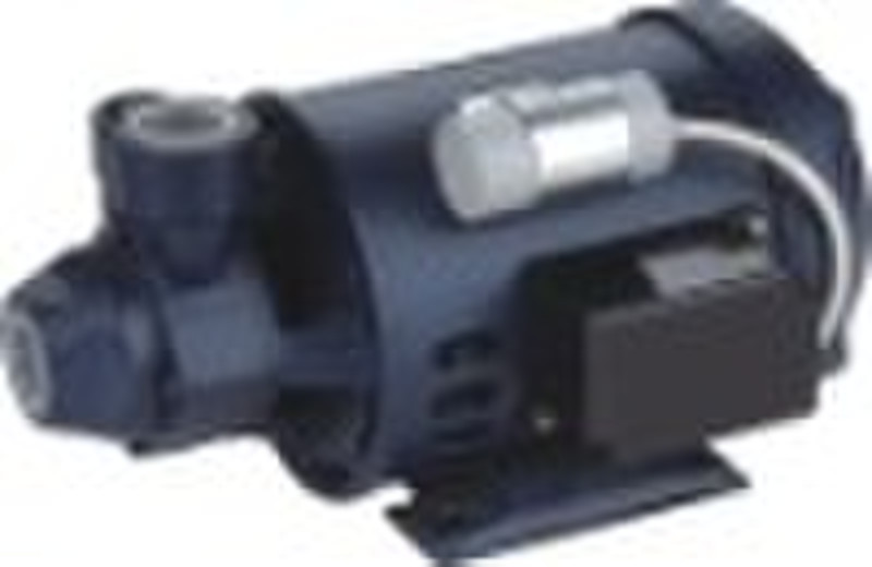 CP130  clean water pump