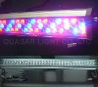 WL-72-RGB LED Flood Light