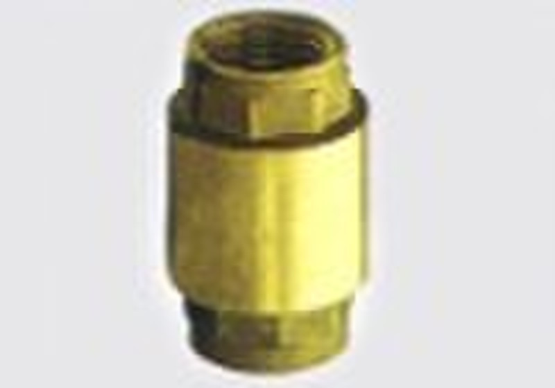 spring loaded check valve