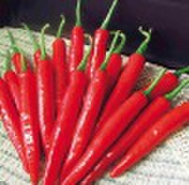 chinese hot peppers