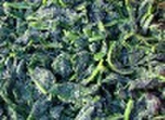 frozen chopped spinach leaves