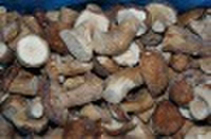 Замороженные Белый гриб Белые грибы в половине