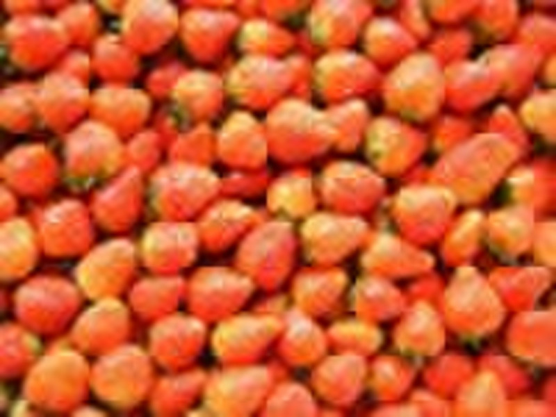 Gefrorene Erdbeeren (All Star)
