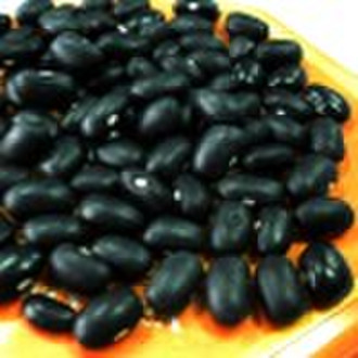 HPS chinesischen Small Black Kidney Beans