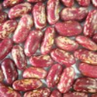 2010 New Crop Purple Speckled Kidney Beans
