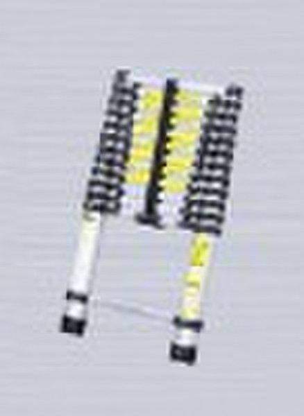 Telescopic Ladder LS1012