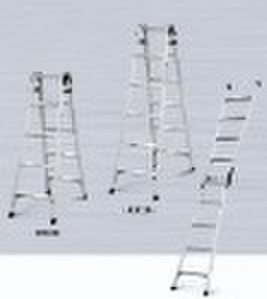 2 in 1 Ladder