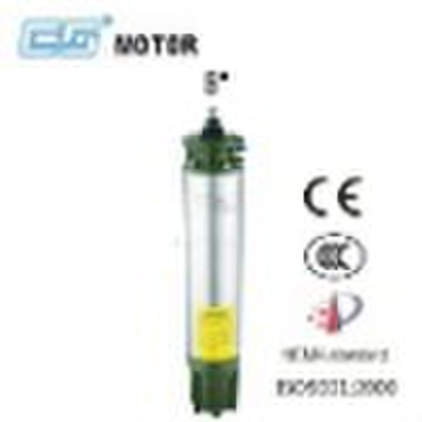 Submersible Motor