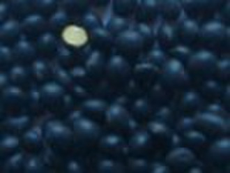 black soybean (yellow inside)