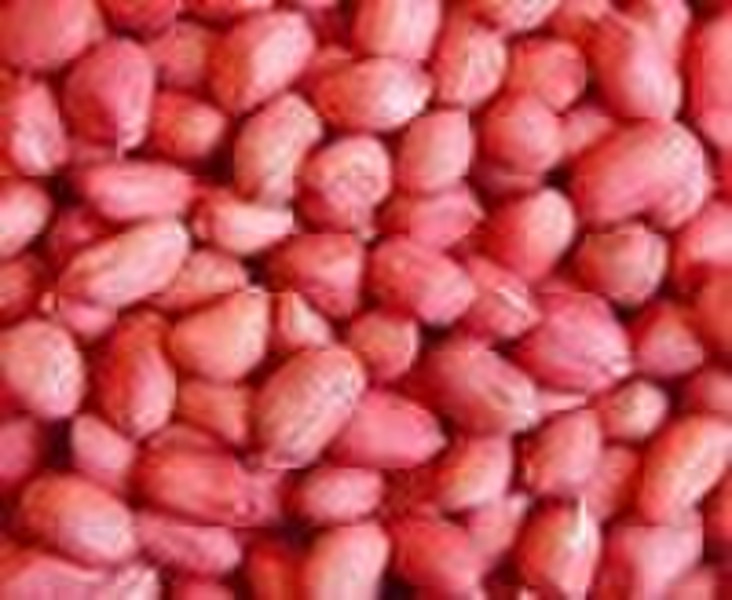 Red skin Pea nut