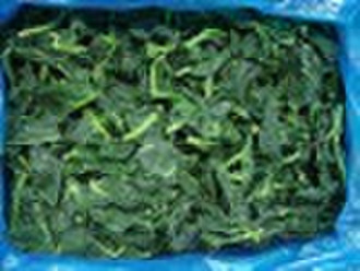 frozen spinach leaf