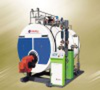 gas steam boiler