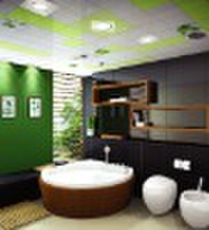 Bathroom Integrated Ceiling
