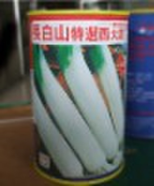 Changbaishan west garlic