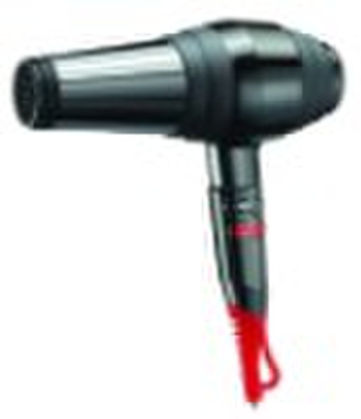 2010 newest professional hair dryer