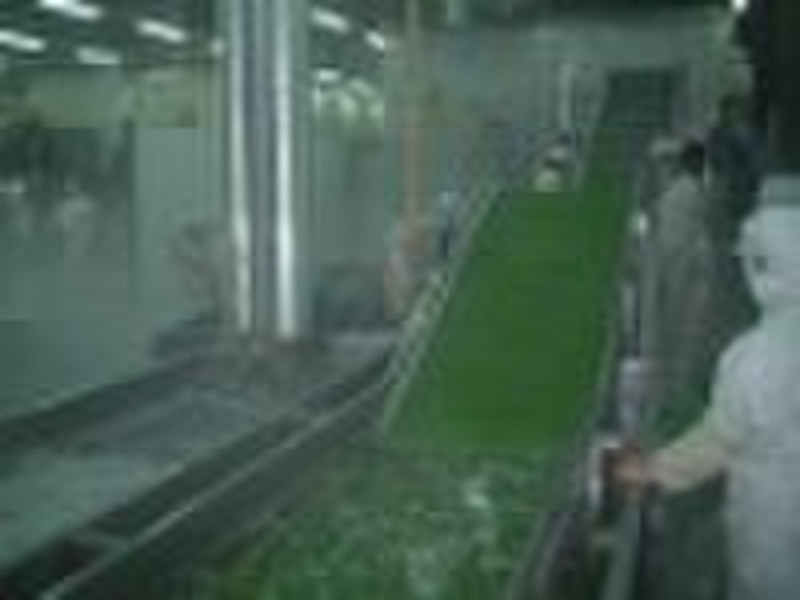 vegetable processing machine