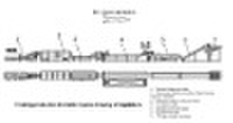 fruit and vegetable processing line machine of qui