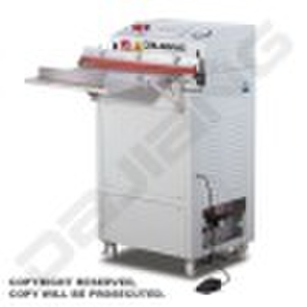 External Vacuum Packaging Machine