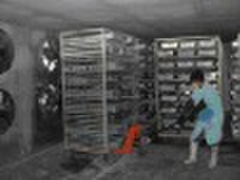 blast freezer(shock freezer,freezer,quickfreezer)