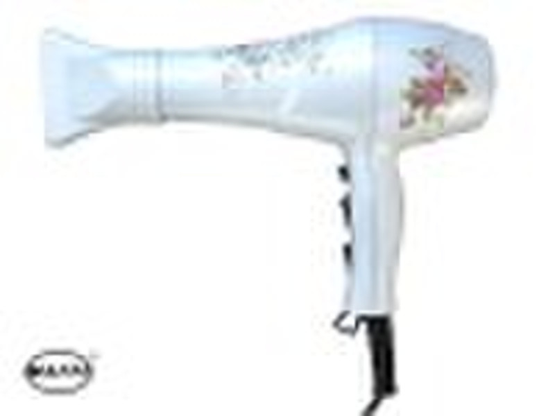 Professional Hair dryer HD-20