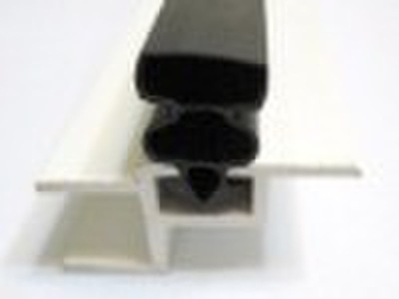 magnetic seal strip