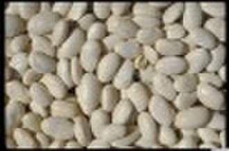 Chinese big white kidney beans