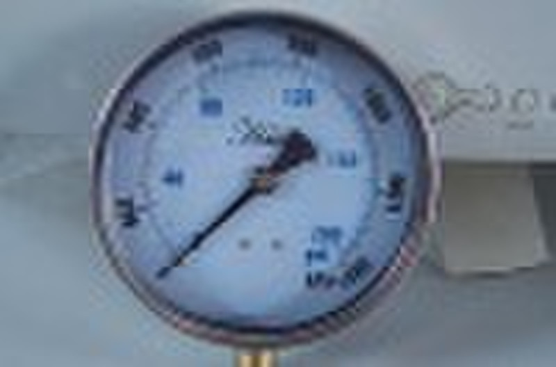 Dry pressure gauge