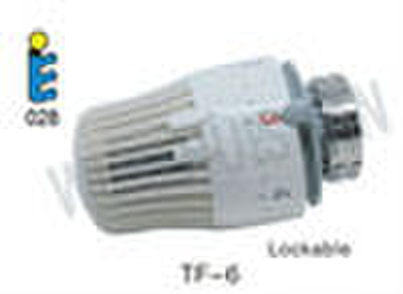 thermostatic valve head with valve