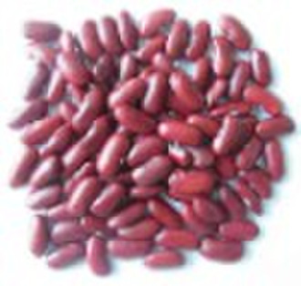 Light Red Beans