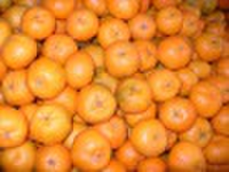 Mandarin Orange/Lukam
