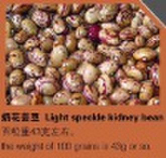 organic light gesprenkelte Kidney-Bohnen