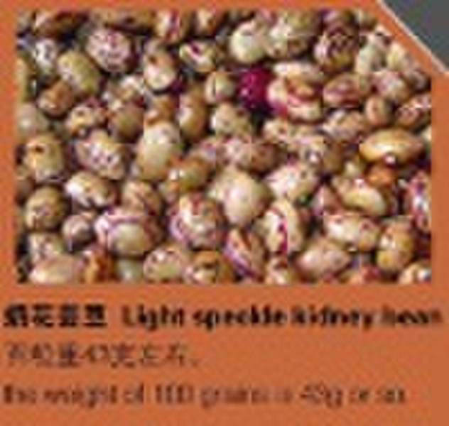 organic light speckled kidney bean