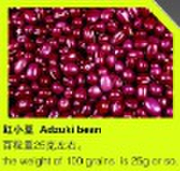 organic adzuki bean