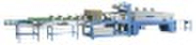 Lineal Type Shrink Packaging Machinery