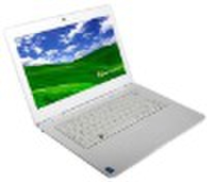 13 inch laptop, netbook