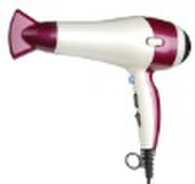 Professionalhair dryer